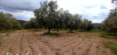 Terrain seul à Gabian en Hérault (34) de 8000 m² à vendre au prix de 29000€ - 1