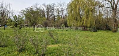 Terrain seul à Salt-en-Donzy en Loire (42) de 2430 m² à vendre au prix de 79000€ - 3