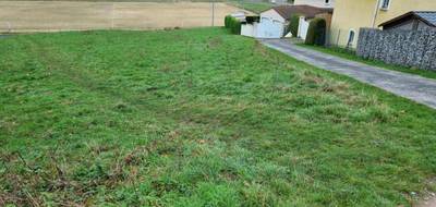 Terrain seul à Saint-Didier-en-Velay en Haute-Loire (43) de 6800 m² à vendre au prix de 105000€ - 1
