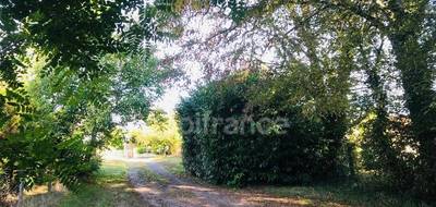 Terrain seul à Le Chautay en Cher (18) de 9346 m² à vendre au prix de 88000€ - 3