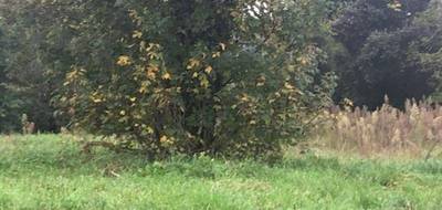 Terrain seul à Corcoué-sur-Logne en Loire-Atlantique (44) de 1129 m² à vendre au prix de 90000€ - 3