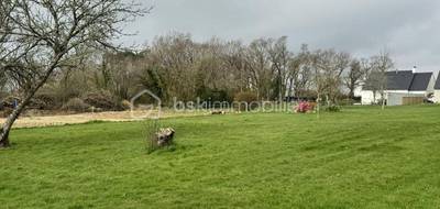 Terrain seul à Plomodiern en Finistère (29) de 1000 m² à vendre au prix de 115000€ - 1
