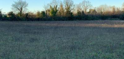 Terrain seul à Saint-Jean-d'Angély en Charente-Maritime (17) de 830 m² à vendre au prix de 16500€ - 1