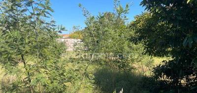 Terrain seul à La Flotte en Charente-Maritime (17) de 250 m² à vendre au prix de 399000€ - 3