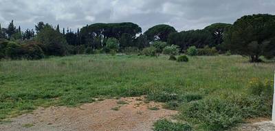Terrain seul à Narbonne en Aude (11) de 2330 m² à vendre au prix de 191700€ - 4