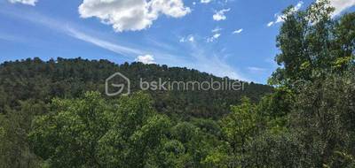 Terrain seul à Vins-sur-Caramy en Var (83) de 1272 m² à vendre au prix de 145000€ - 3
