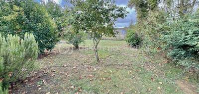 Terrain seul à Rabastens en Tarn (81) de 385 m² à vendre au prix de 55000€ - 2