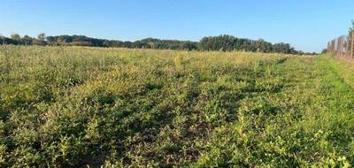 Terrain seul à Labourgade en Tarn-et-Garonne (82) de 2158 m² à vendre au prix de 39500€ - 3