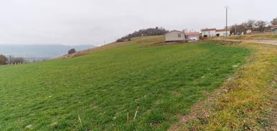 Terrain seul à Beaulieu en Haute-Loire (43) de 1263 m² à vendre au prix de 48000€ - 2