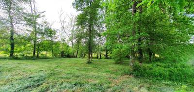 Terrain seul à Pontonx-sur-l'Adour en Landes (40) de 2390 m² à vendre au prix de 95990€ - 4