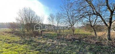 Terrain seul à Bailly-le-Franc en Aube (10) de 1490 m² à vendre au prix de 15000€ - 4