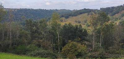 Terrain seul à Sauviat en Puy-de-Dôme (63) de 4580 m² à vendre au prix de 31990€ - 2