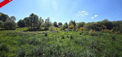 Terrain seul à Saint-Guyomard en Morbihan (56) de 910 m² à vendre au prix de 89000€ - 2