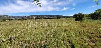 Terrain seul à Saint-Jean-de-Fos en Hérault (34) de 11536 m² à vendre au prix de 45000€ - 1