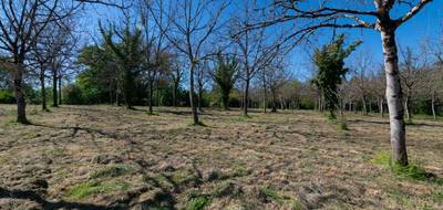 Terrain seul à Réans en Gers (32) de 10000 m² à vendre au prix de 94000€ - 3