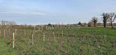 Terrain seul à Léguevin en Haute-Garonne (31) de 0 m² à vendre au prix de 116800€ - 2