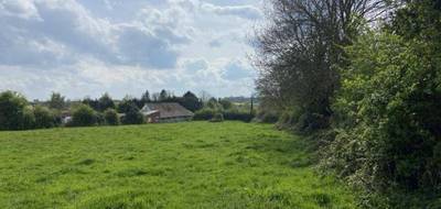Terrain seul à Éclimeux en Pas-de-Calais (62) de 7585 m² à vendre au prix de 43300€ - 4