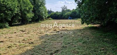 Terrain seul à Plounérin en Côtes-d'Armor (22) de 1000 m² à vendre au prix de 24000€ - 1