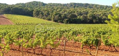 Terrain seul à Lussac en Gironde (33) de 50000 m² à vendre au prix de 110000€ - 1