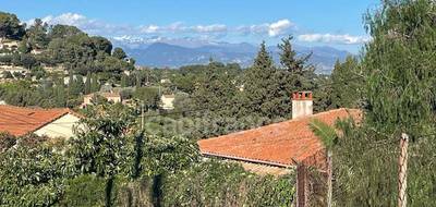 Terrain seul à Vallauris en Alpes-Maritimes (06) de 1751 m² à vendre au prix de 349000€ - 1