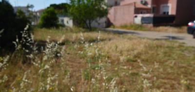 Terrain seul à Frontignan en Hérault (34) de 308 m² à vendre au prix de 190000€ - 3
