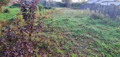 Terrain seul à Crozon en Finistère (29) de 359 m² à vendre au prix de 130000€ - 2