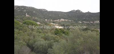 Terrain seul à Figari en Corse-du-Sud (2A) de 3280 m² à vendre au prix de 398000€ - 2