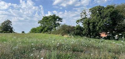 Terrain seul à Saint-Sernin-du-Bois en Saône-et-Loire (71) de 783 m² à vendre au prix de 49914€ - 4