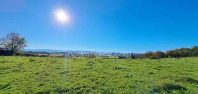 Terrain seul à Bidache en Pyrénées-Atlantiques (64) de 1217 m² à vendre au prix de 48000€ - 1