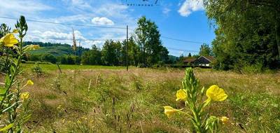 Terrain seul à Le Thillot en Vosges (88) de 1090 m² à vendre au prix de 33000€ - 2