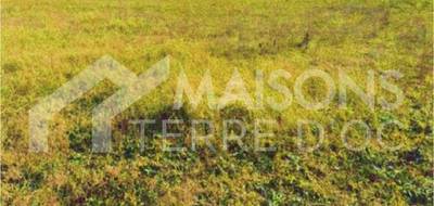 Programme terrain + maison à Laboutarie en Tarn (81) de 807 m² à vendre au prix de 280705€ - 2