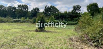 Terrain seul à Blanzay en Vienne (86) de 6260 m² à vendre au prix de 11000€ - 3