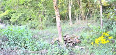 Terrain seul à Pont-de-Roide-Vermondans en Doubs (25) de 1782 m² à vendre au prix de 46000€ - 1