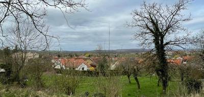 Terrain seul à Jussey en Haute-Saône (70) de 0 m² à vendre au prix de 22000€ - 2