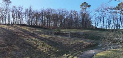 Terrain seul à Payrignac en Lot (46) de 2200 m² à vendre au prix de 33000€ - 4