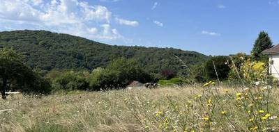 Terrain seul à Saint-Sernin-du-Bois en Saône-et-Loire (71) de 1306 m² à vendre au prix de 35900€ - 4