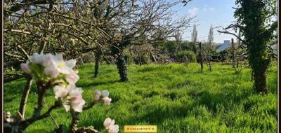 Terrain seul à Landivisiau en Finistère (29) de 3650 m² à vendre au prix de 250000€ - 2