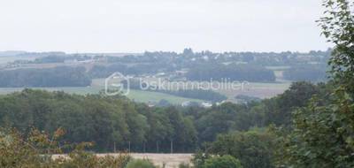 Terrain seul à Pourrain en Yonne (89) de 1234 m² à vendre au prix de 32000€ - 3