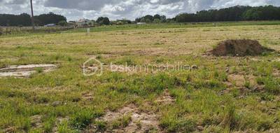 Terrain seul à Mérignac en Charente-Maritime (17) de 6060 m² à vendre au prix de 129000€ - 1