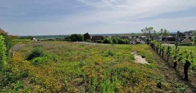 Terrain seul à Pfaffenheim en Haut-Rhin (68) de 460 m² à vendre au prix de 149900€ - 3