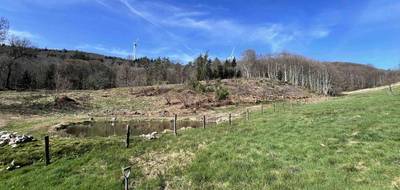 Terrain seul à Laprugne en Allier (03) de 12729 m² à vendre au prix de 6000€ - 3