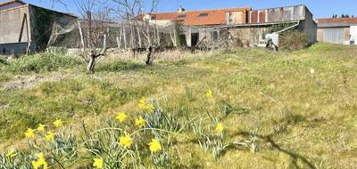 Terrain seul à Pont-Saint-Martin en Loire-Atlantique (44) de 604 m² à vendre au prix de 109990€ - 4