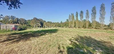 Terrain seul à Artassenx en Landes (40) de 1156 m² à vendre au prix de 57000€ - 1