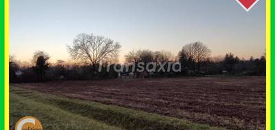 Terrain seul à La Guerche-sur-l'Aubois en Cher (18) de 6937 m² à vendre au prix de 50000€ - 4