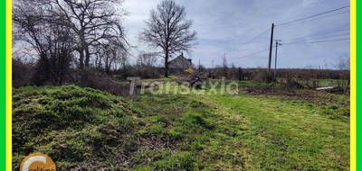 Terrain seul à Jouet-sur-l'Aubois en Cher (18) de 1600 m² à vendre au prix de 39900€ - 3