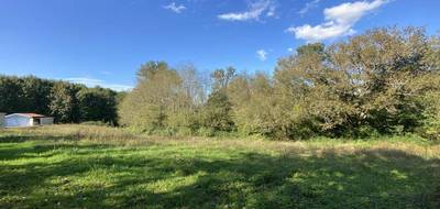 Terrain seul à Castelnau-Chalosse en Landes (40) de 3783 m² à vendre au prix de 59000€ - 2