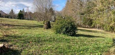 Terrain seul à Château-l'Évêque en Dordogne (24) de 1402 m² à vendre au prix de 40500€ - 3