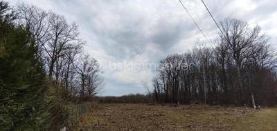 Terrain seul à Triguères en Loiret (45) de 2900 m² à vendre au prix de 42000€ - 2