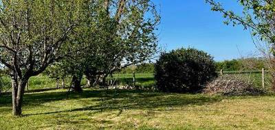 Terrain seul à Montauban en Tarn-et-Garonne (82) de 820 m² à vendre au prix de 69000€ - 3