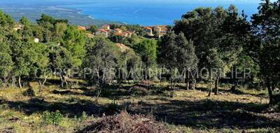 Terrain seul à Sari-Solenzara en Corse-du-Sud (2A) de 1100 m² à vendre au prix de 153300€ - 2